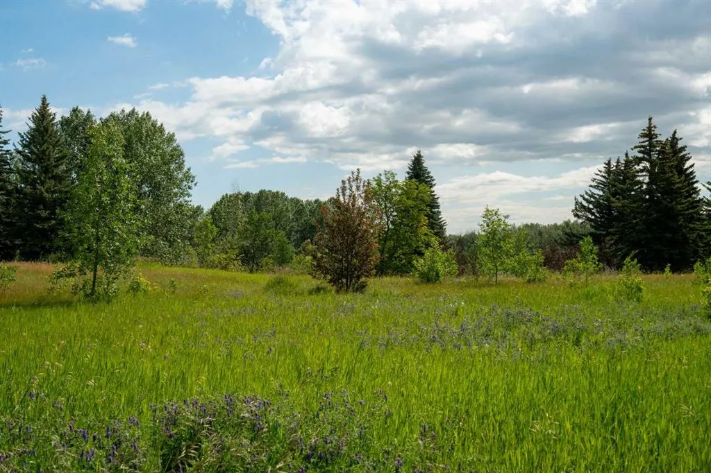 2739 Cochrane Road NW