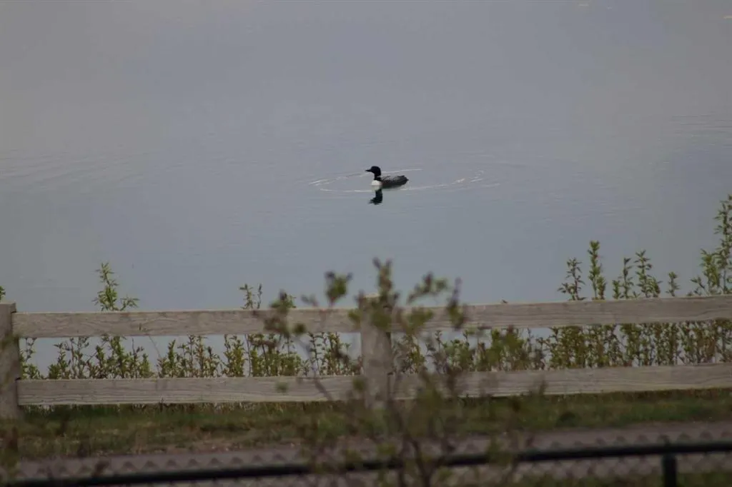 31 Montenaro Bay
