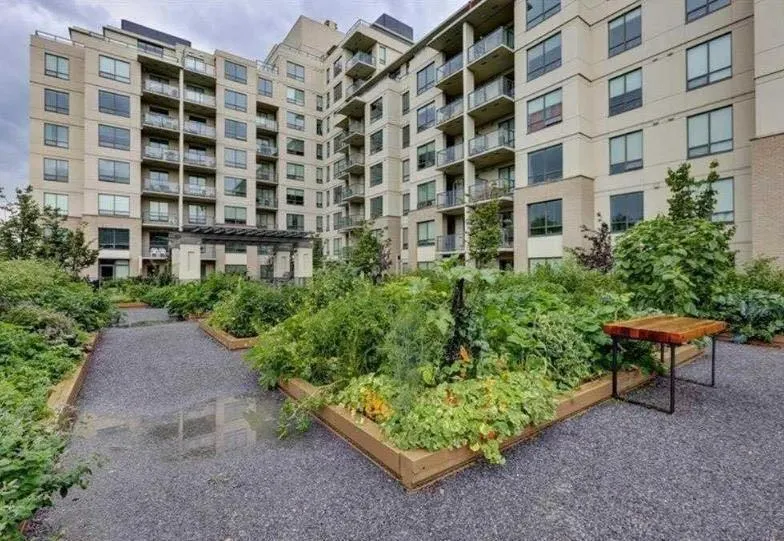 38 9 Street NE, #207