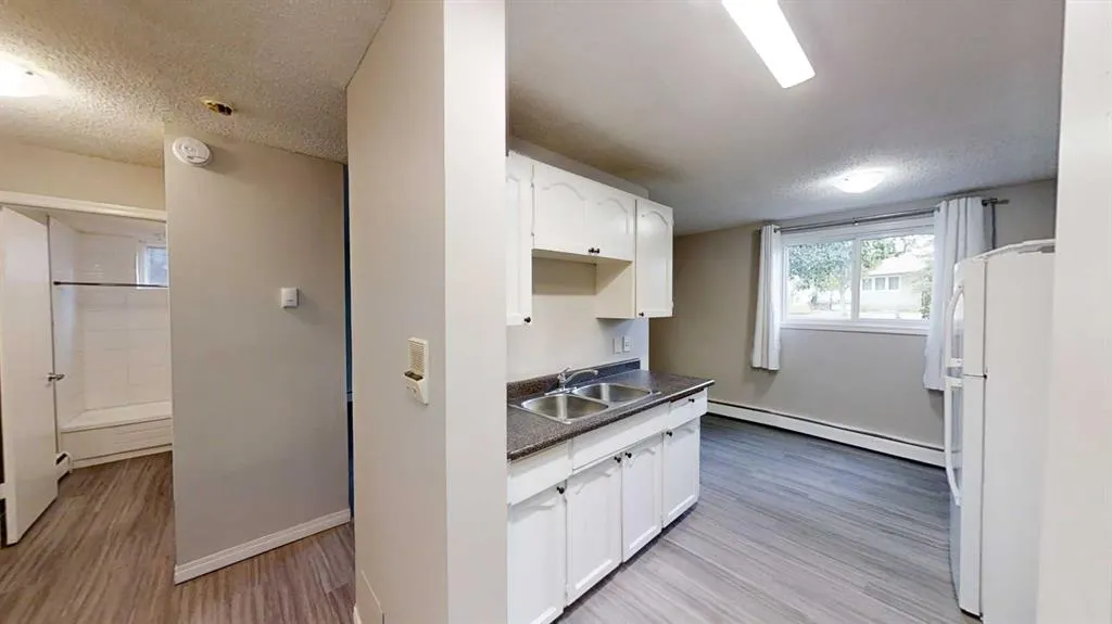 10114 105 Avenue, #102