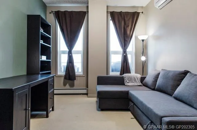 12310 102 Street, #316
