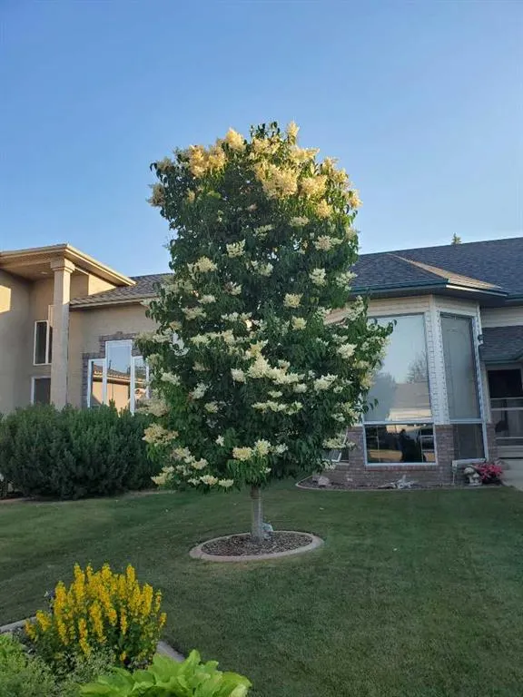 18 Asmundsen Close