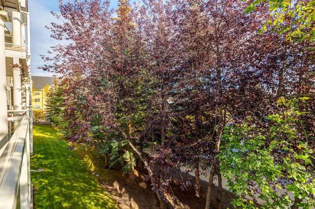 2233 34 Avenue SW, #216