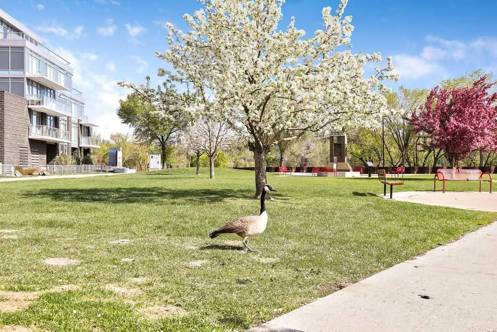 222 Riverfront Avenue SW, #451