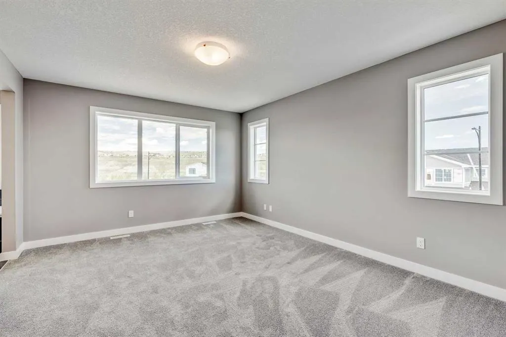 253 Precedence View