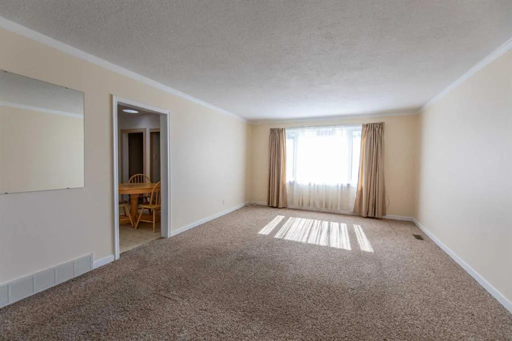 117 Dorin Drive