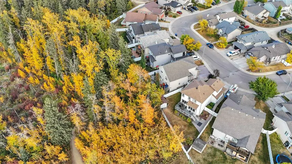 232 Wiley Crescent