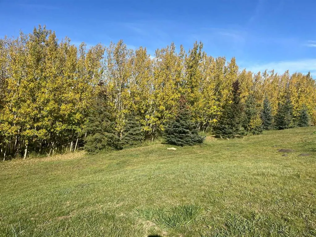 29407 Township Rd 3-0