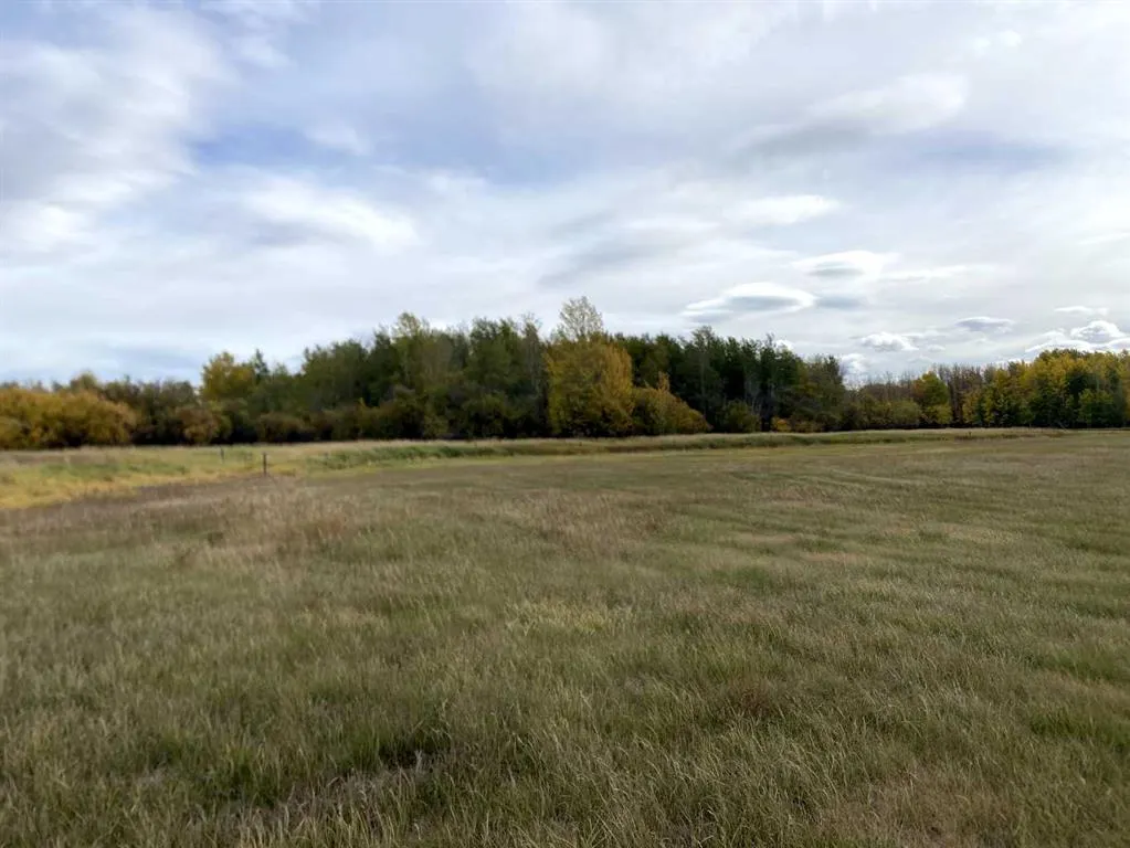 TWP RD 704