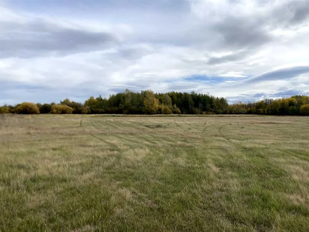 TWP RD 704