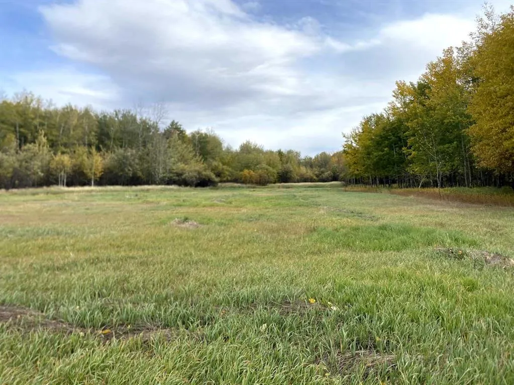 TWP RD 704