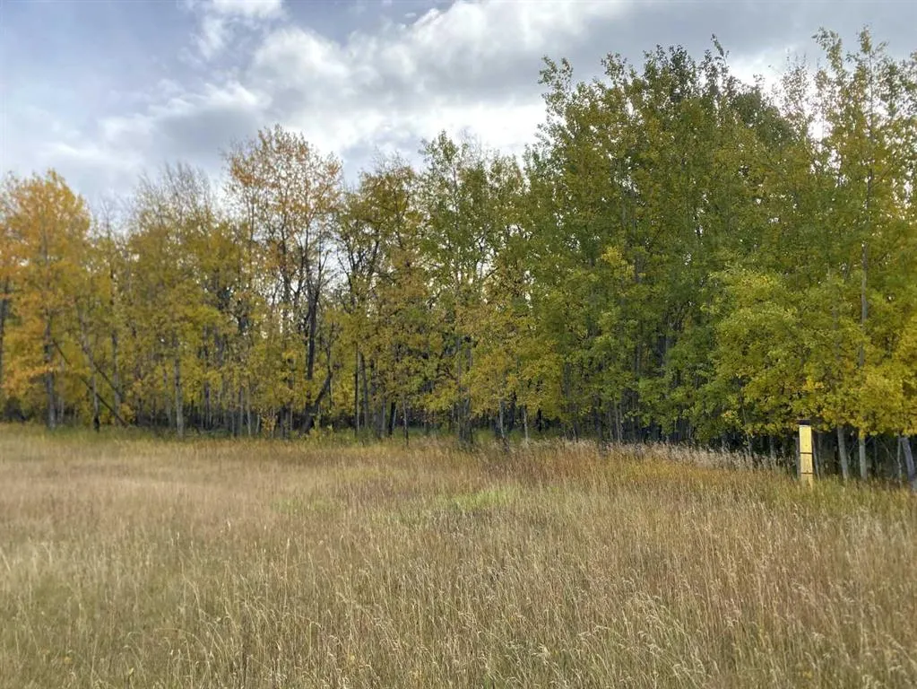 TWP RD 704