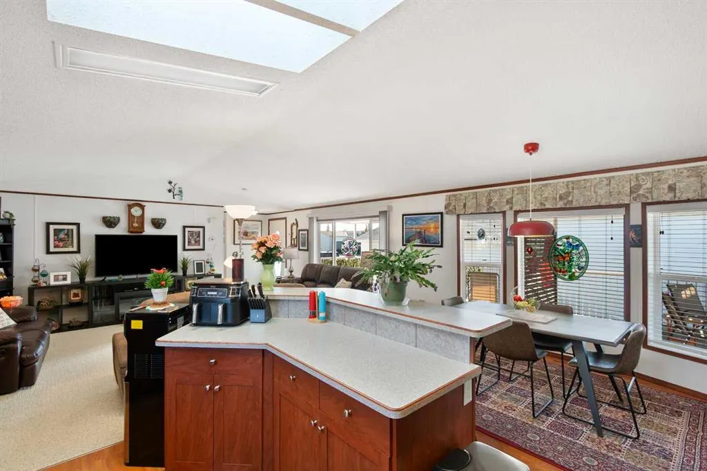 5210 65 Avenue, #41