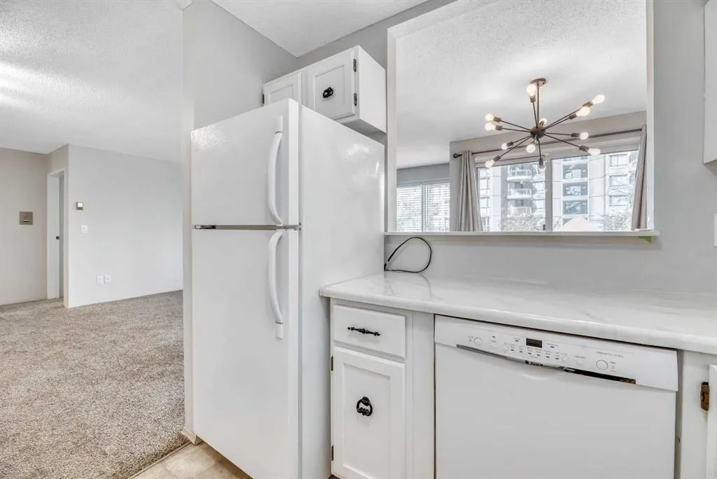 821 3 Avenue SW, #11