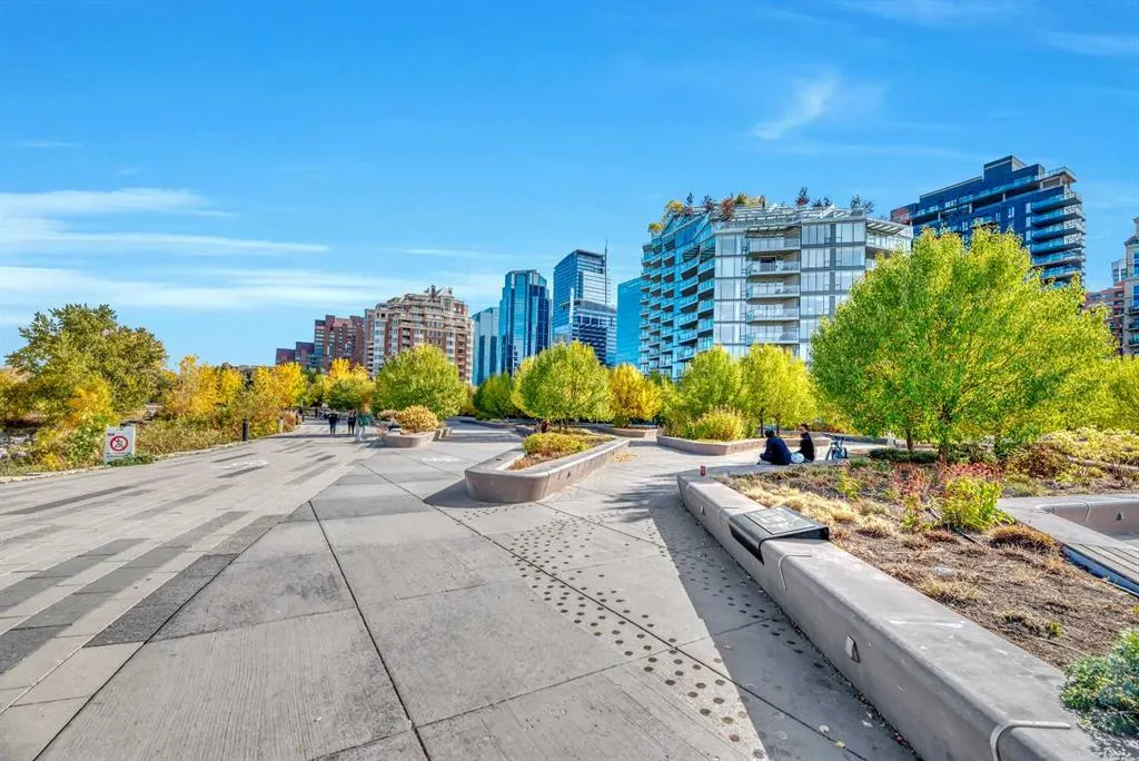 821 3 Avenue SW, #11