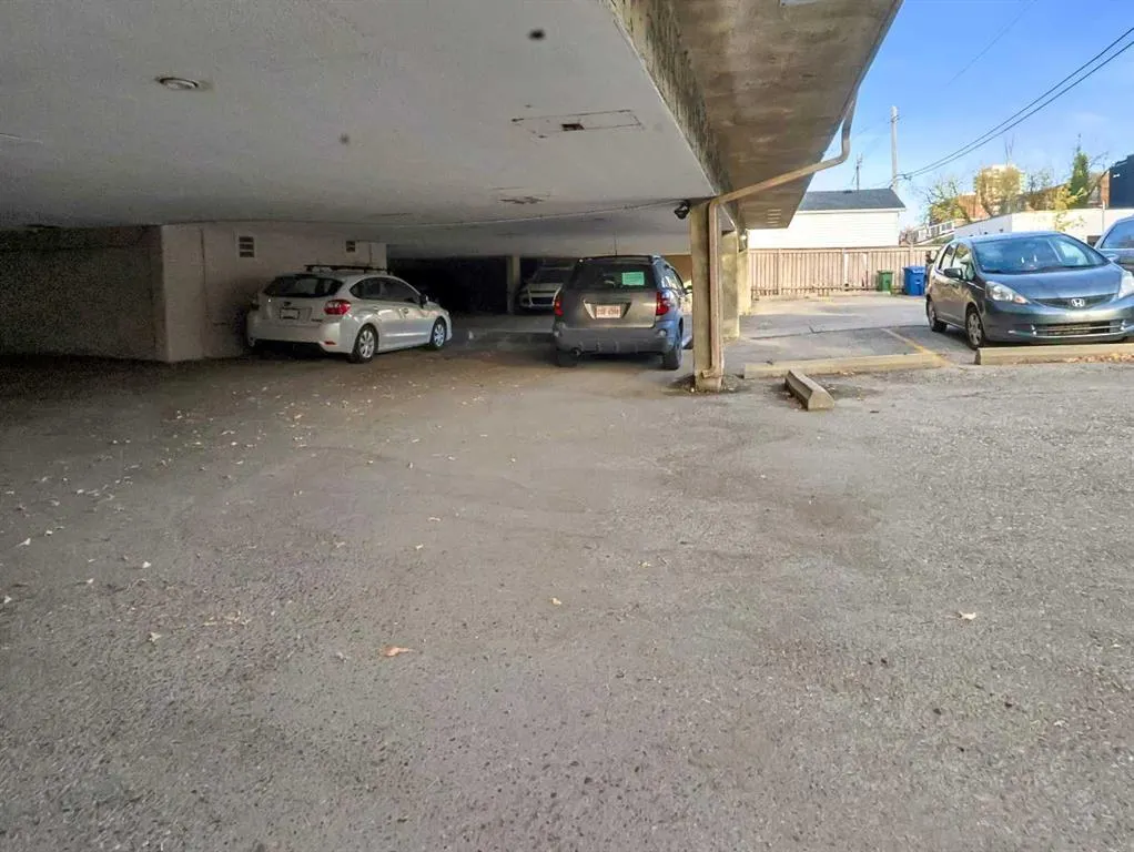 1625 14 Avenue SW, #205