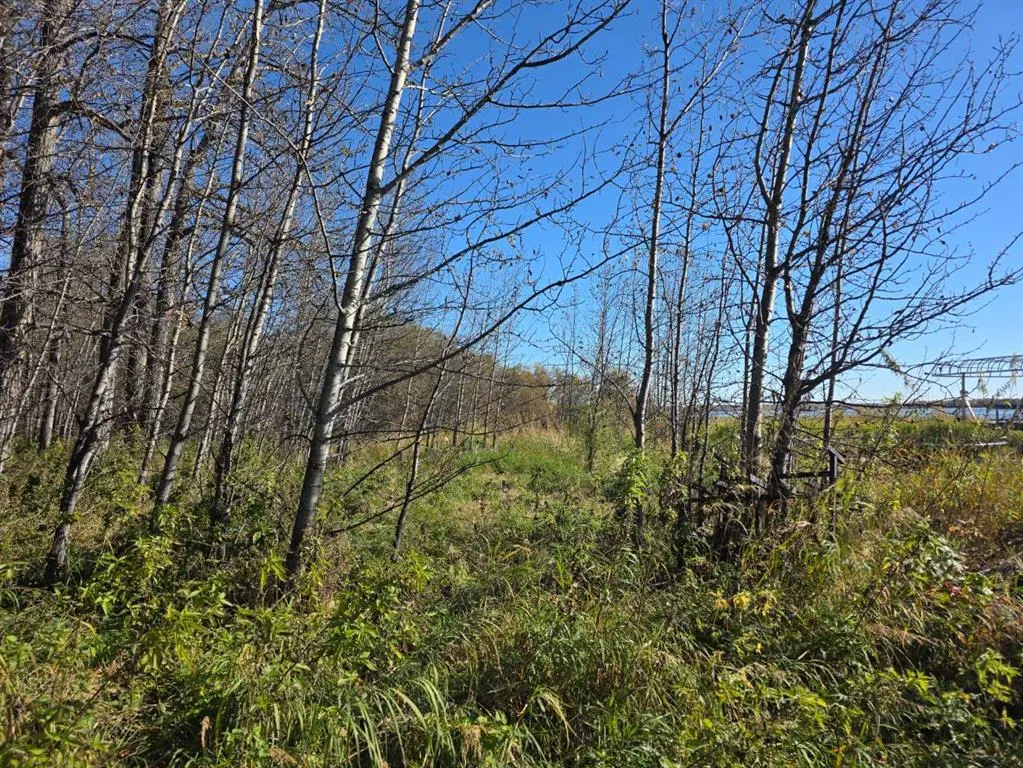 27 62045 Township Road 462