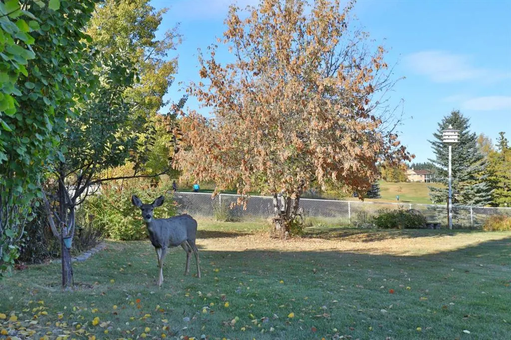14 Sunnyside Drive