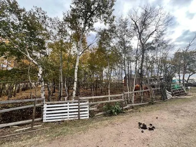 12229 Twp Rd 484
