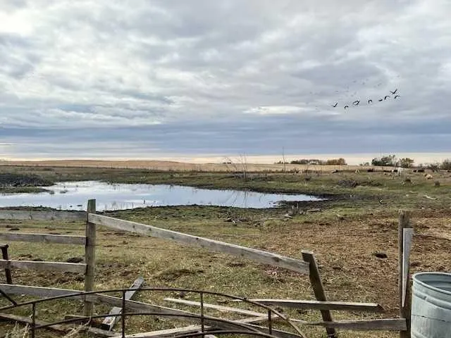 12229 Twp Rd 484
