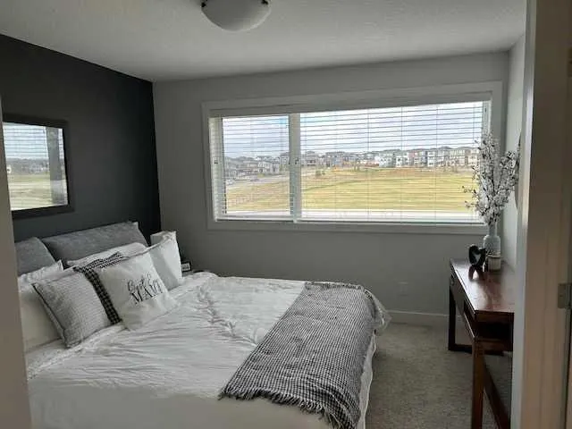 213 Alpine Rush View