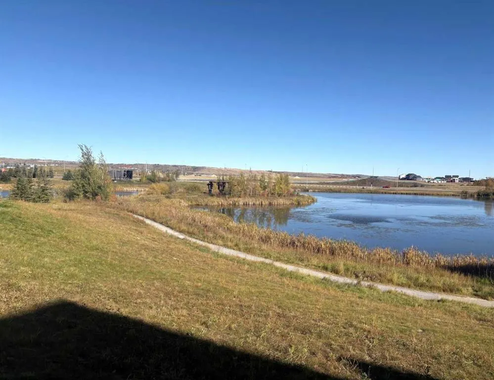 250 Fireside View, #803