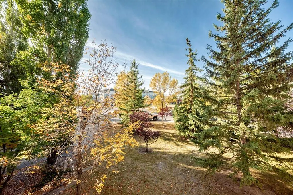 4000 Somervale Court SW, #208