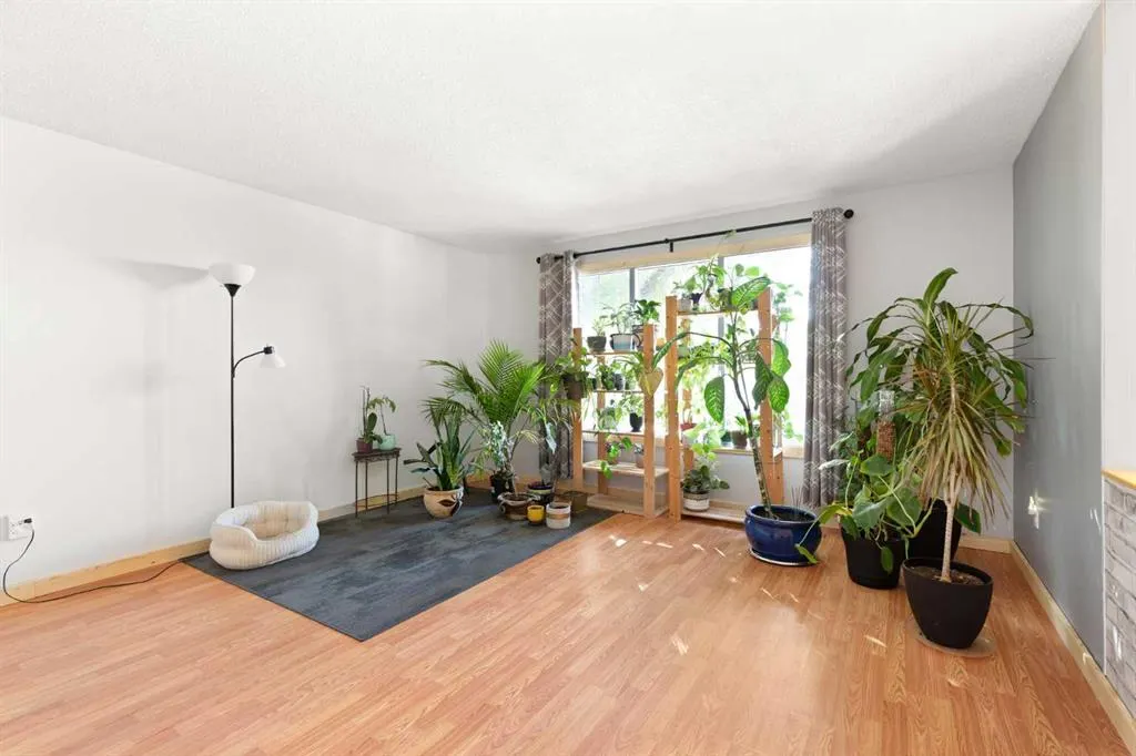 8 Cypress Way SE