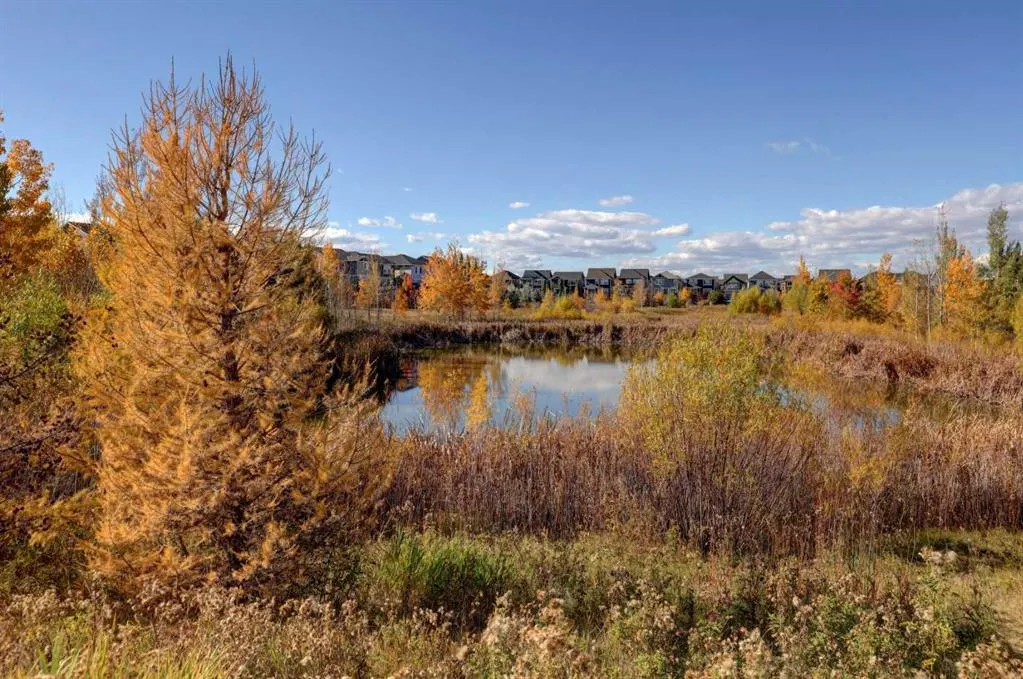 100 Auburn Meadows Common SE, #315