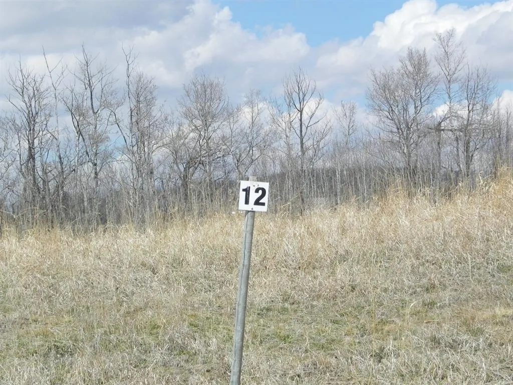 420069 Range Road 284, #12