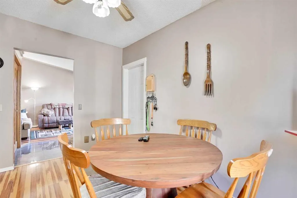 47 Shannon Drive SW