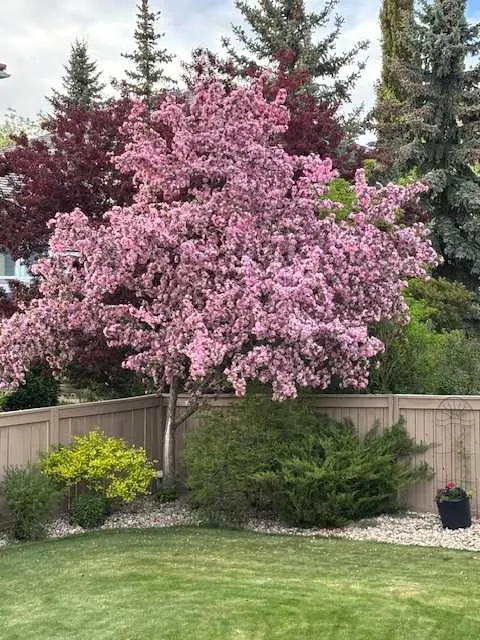 39 Arbour Estates Way NW