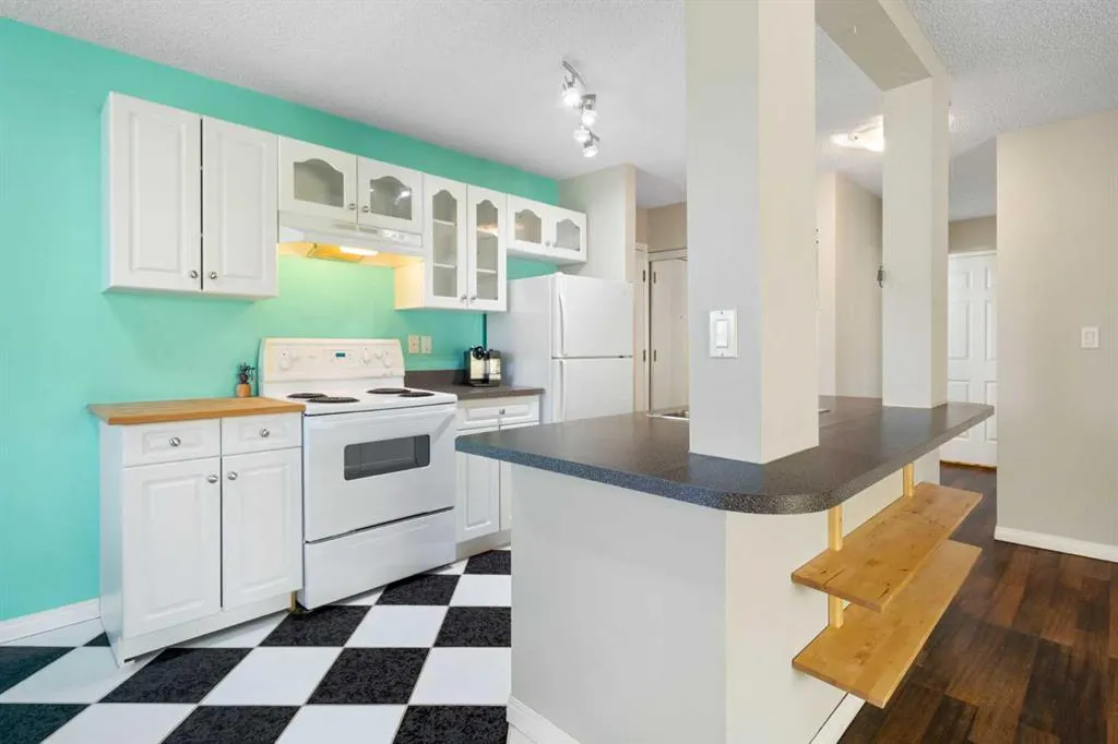 709 3 Avenue NW, #301