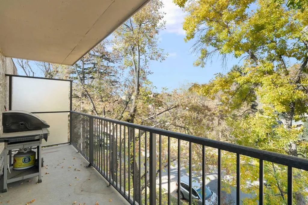 709 3 Avenue NW, #301