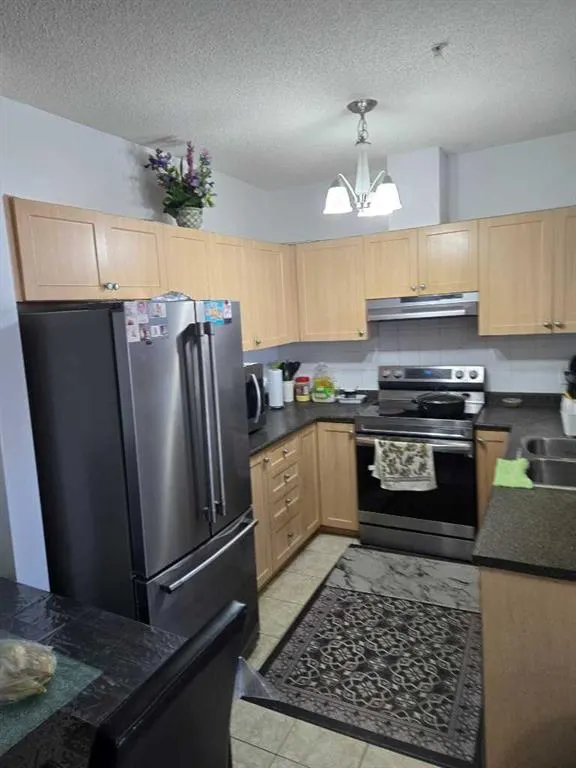 333 Taravista Drive NE, #2204