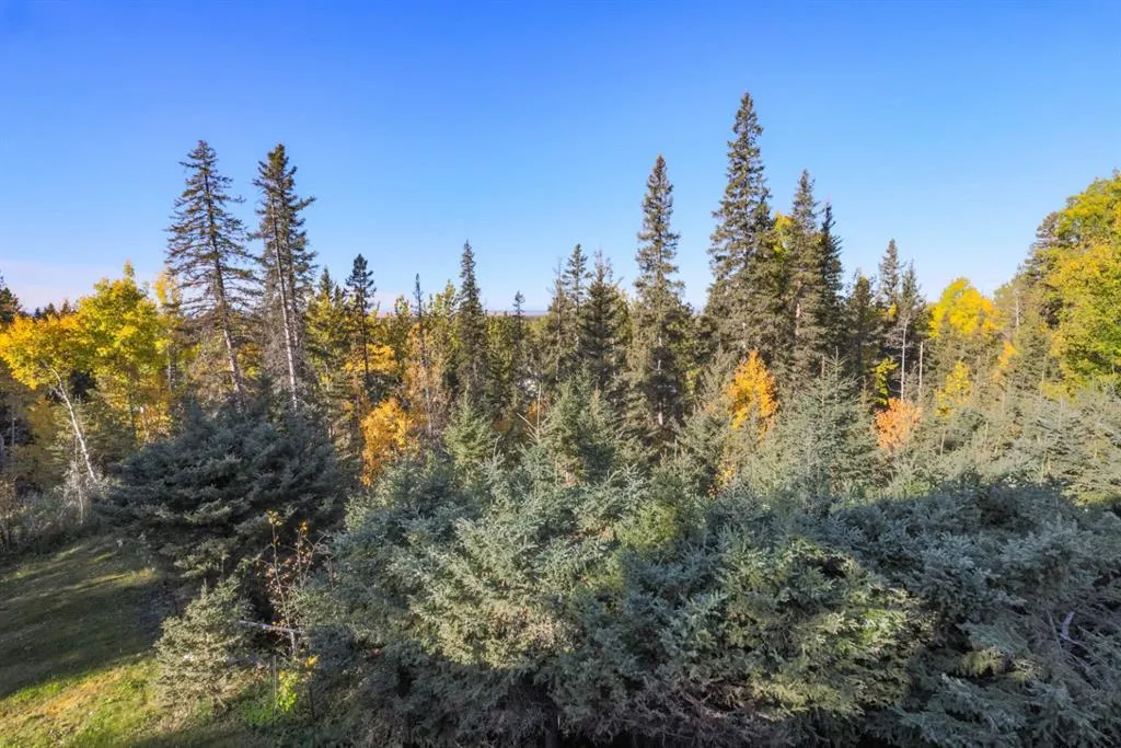5241 325A Township, #236