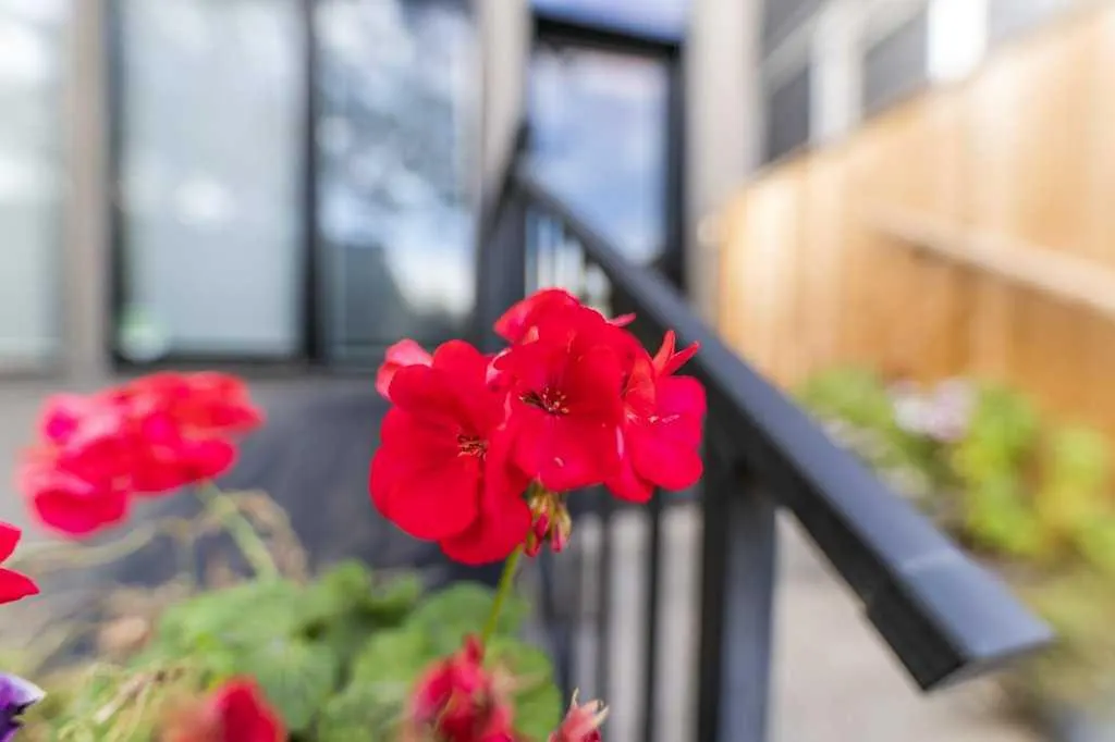 1926 36 Street SW, #2