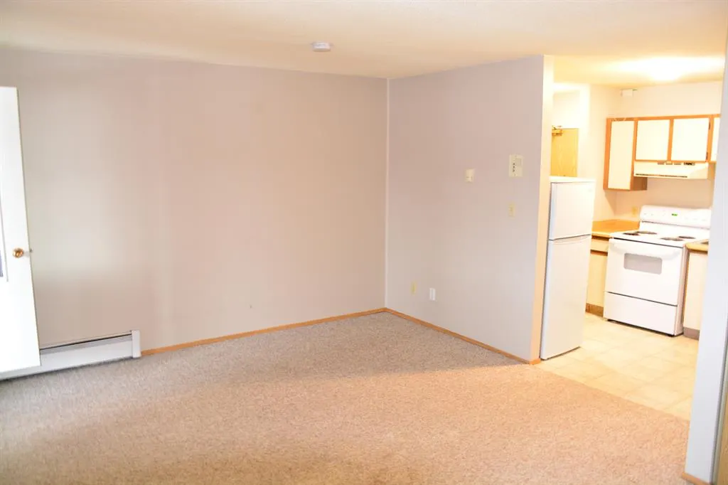 10118 100 Avenue, #101-215