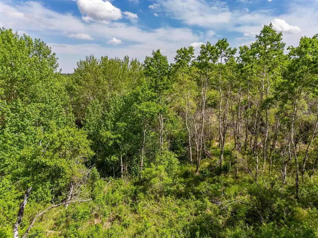 113 Silverhorn Ridge