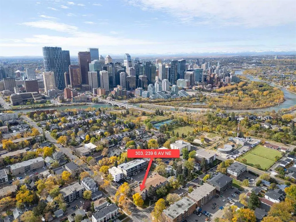 239 6 Avenue NE, #303