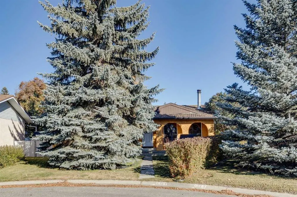 8 Mist Road