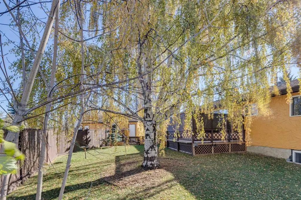 8 Mist Road