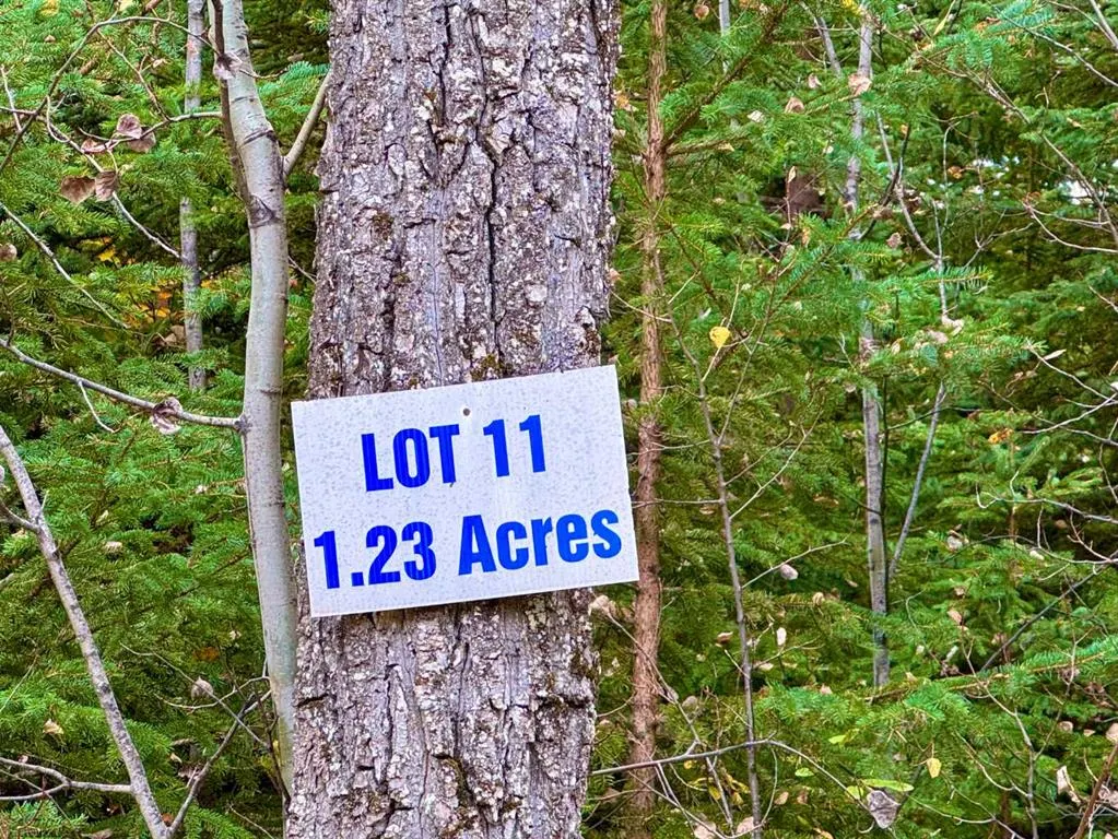 201 High Timber Place