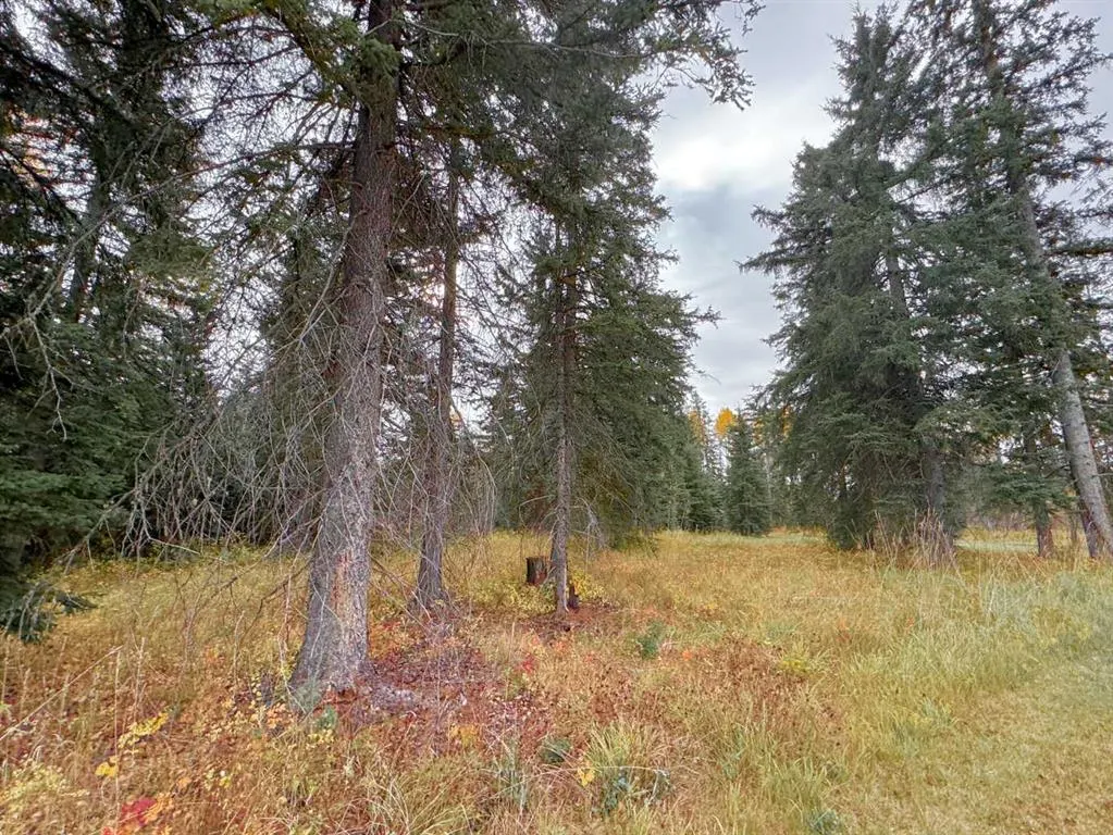 201 High Timber Place