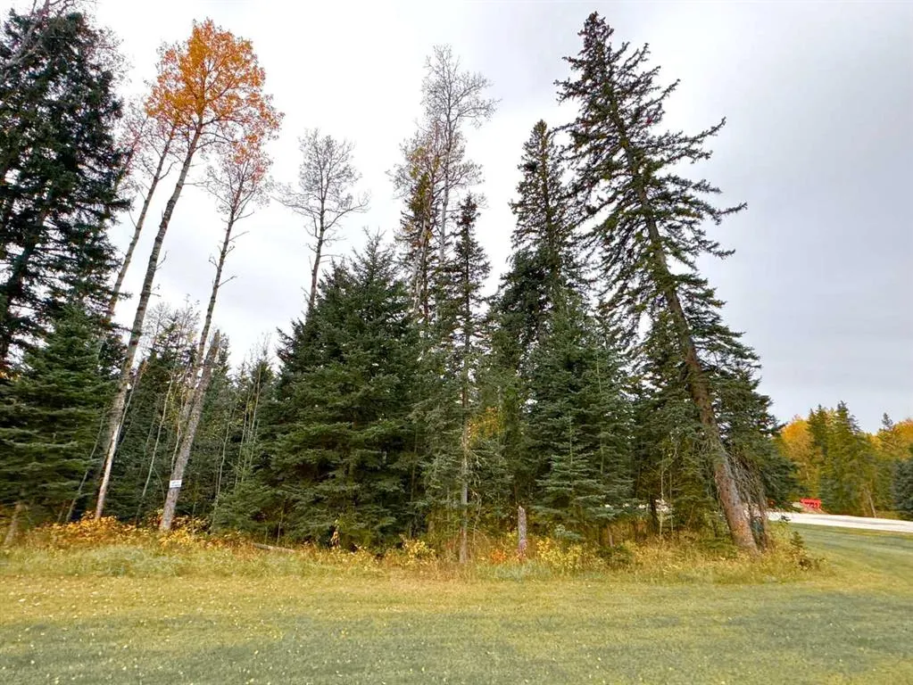 201 High Timber Place