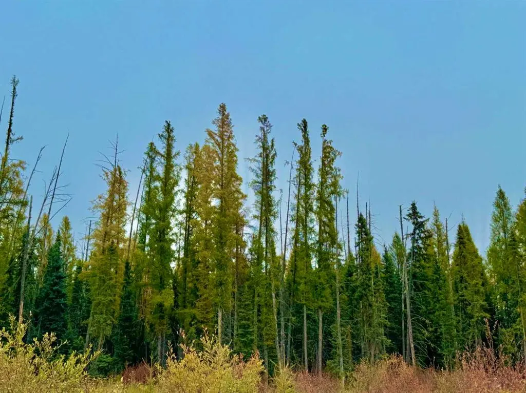 408 Valley View Close