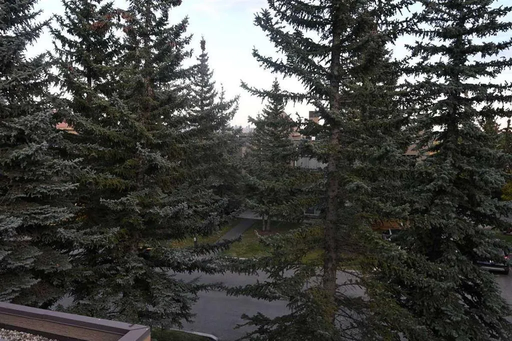 211 Village Terrace SW, #5