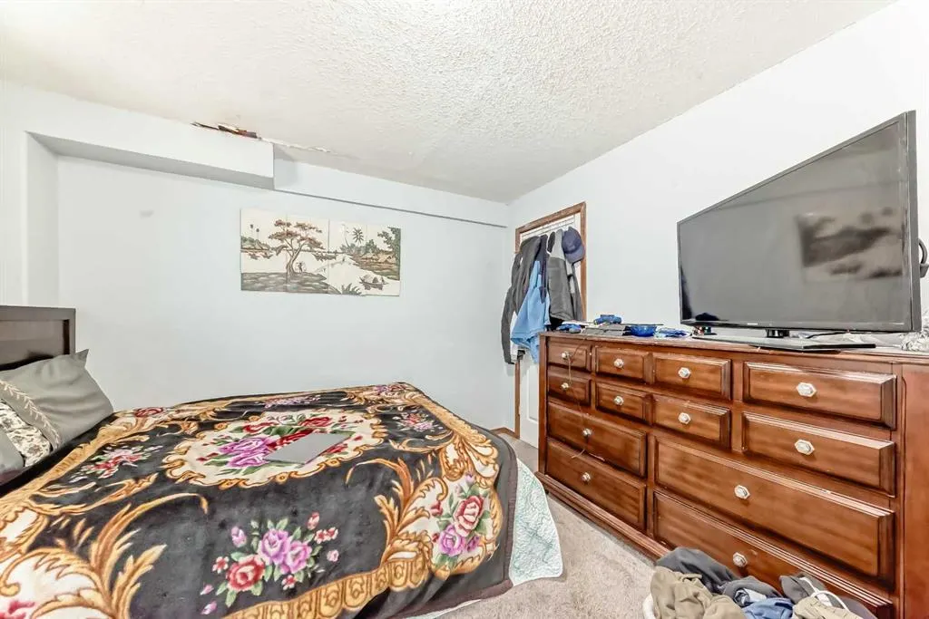 11 San Diego Green NE