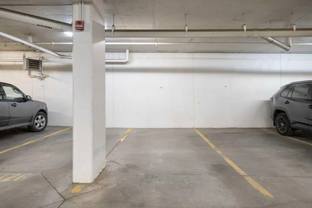 323 20 Avenue SW, #314