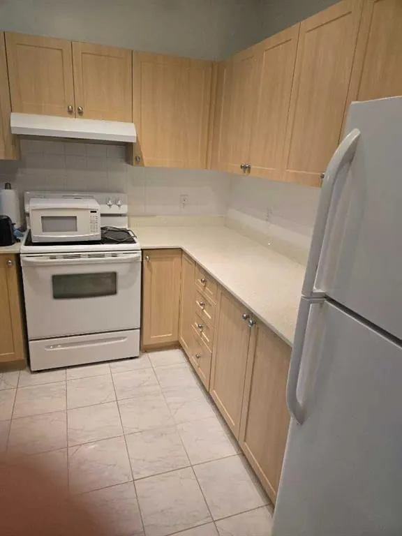 333 Taravista Drive NE, #1411